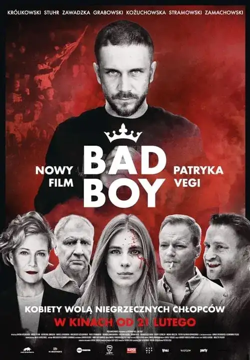 Download Bad Boy (Season 1) Dual Audio {Hindi English} Netflix Series 480p | 720p | 1080p WEB DL 8 bad boy season 1