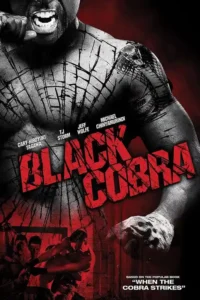 black cobra 2012
