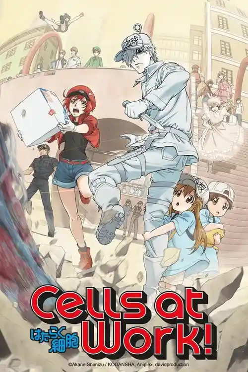 cells at work season 1