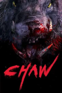 chawz 2009