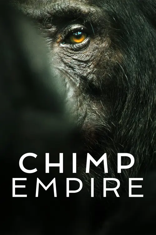 chimp empire 2023