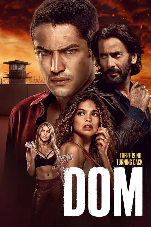 Download Dom (Season 1 – 3) Dual Audio {Hindi English} Amazon Original Series 480p | 720p | 1080p WEB DL 4 dom season 1