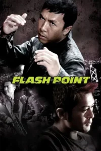 flash point 2007
