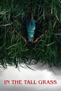 in the tall grass 2019