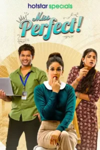 miss perfect season 1