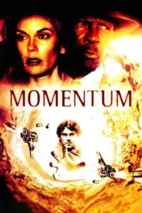 momentum 2003