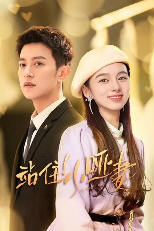 Download My Lovely Wife (Season 1) Hindi ORG Dubbed C Drama Series 480p 720p & 1080p WEB DL 11 my lovely wife season 1