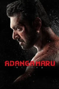 nannevaru apaleru adanga maru 2021