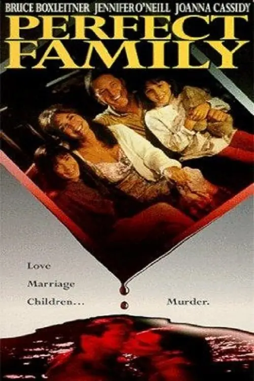 perfect family season 1