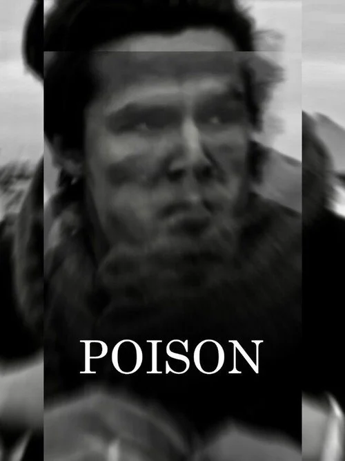 Download Poison (2020) Season 2 Hindi Complete ZEE5 WEB Series 480p | 720p HDRip 25 poison 2020