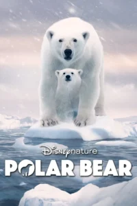 polar bear 2022