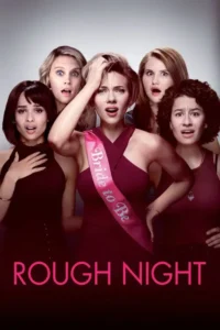 rough night 2017