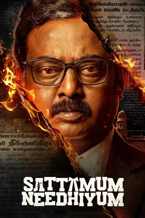 Download Sattamum Needhiyum (Season 1) Hindi Complete Zee5 Web Series 480p | 720p | 1080p WEB DL 11 sattamum needhiyum season 1