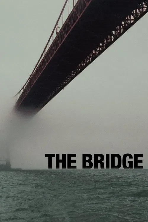 Download The Bridge (Season 1 – 4) Dual Audio {Hindi English} 480p | 720p | 1080p AMZN WEB DL 14 the bridge season 1