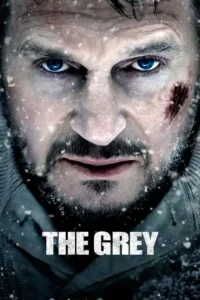 the grey 2011