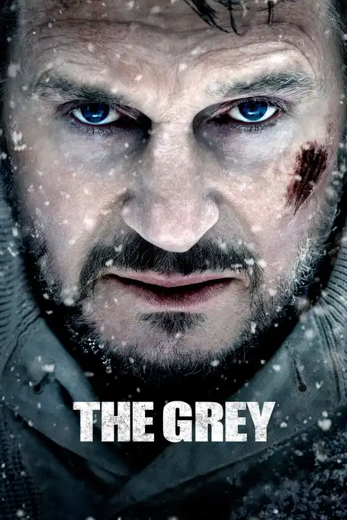 the grey 2011
