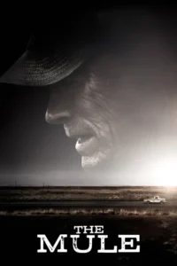 the mule 2018