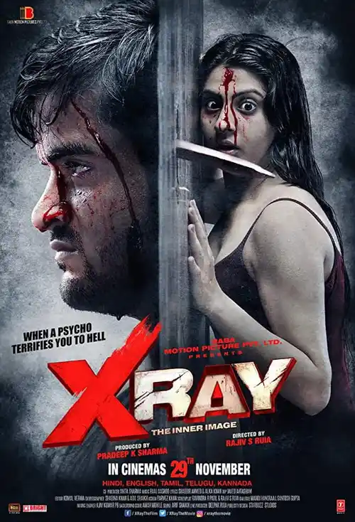 x ray the inner image 2019